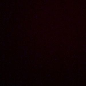 Meet your Posher, Ray